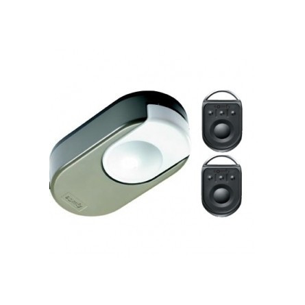  Somfy moteur portes de garage Dexxo pro 800 RTS tête moteur  (SO 1240829) 