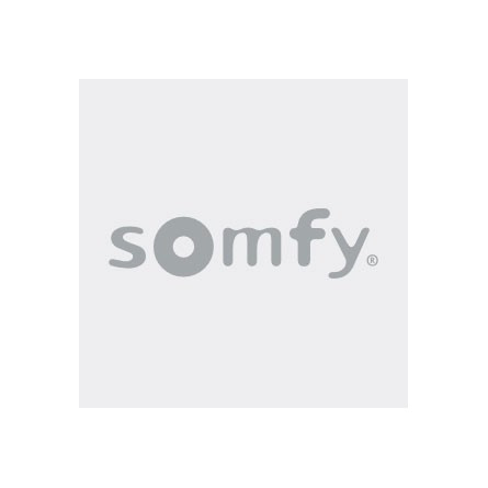  Somfy boîtier d'encastrement APEM blanc (so 9660135) 