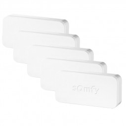 SOMFY 2401487 - IntelliTAG - Détecteur auto-protégé de vibration pour  intérieur ou extérieur - Détection avant l'ouverture - Compatible Somfy One  (+) & Somfy Home Alarm (Advanced)