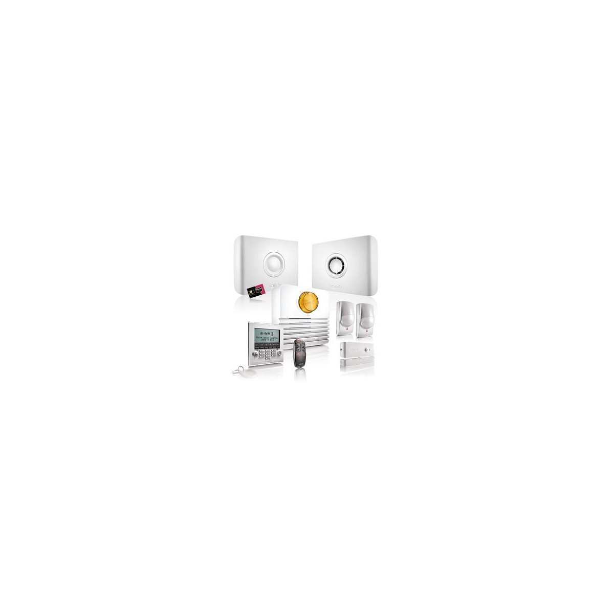 Somfy Pack alarme Protexiom online GSM premium animaux  (so 2401536)