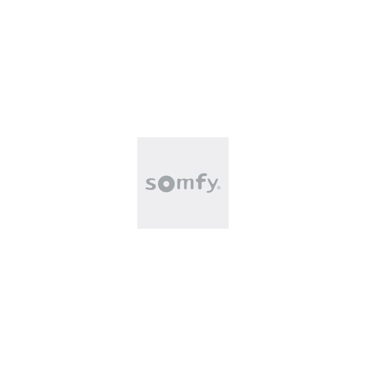 Somfy outil de test de la ligne bus (so 1810793)