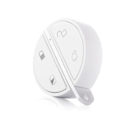 Somfy 2401489 - Badge d'activation et de désactivation alarme, Fonction  mains libres