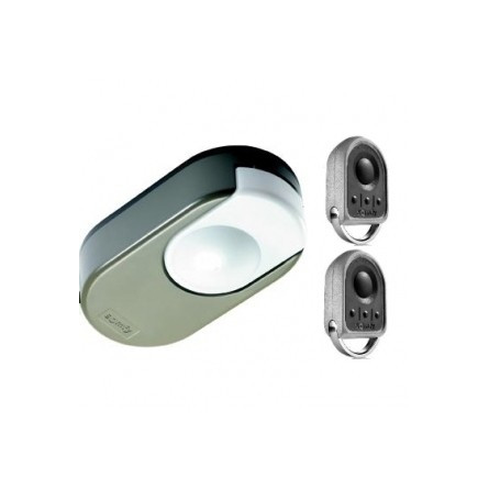  Somfy Dexxo pro 1000 3S IO Tête moteur 2 keygo io (so 1216325) 