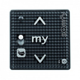 Somfy Module Smoove RS100 1...